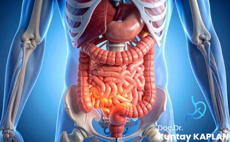 Transit Bipartisyon Eski Haline Döndürülebilir mi?