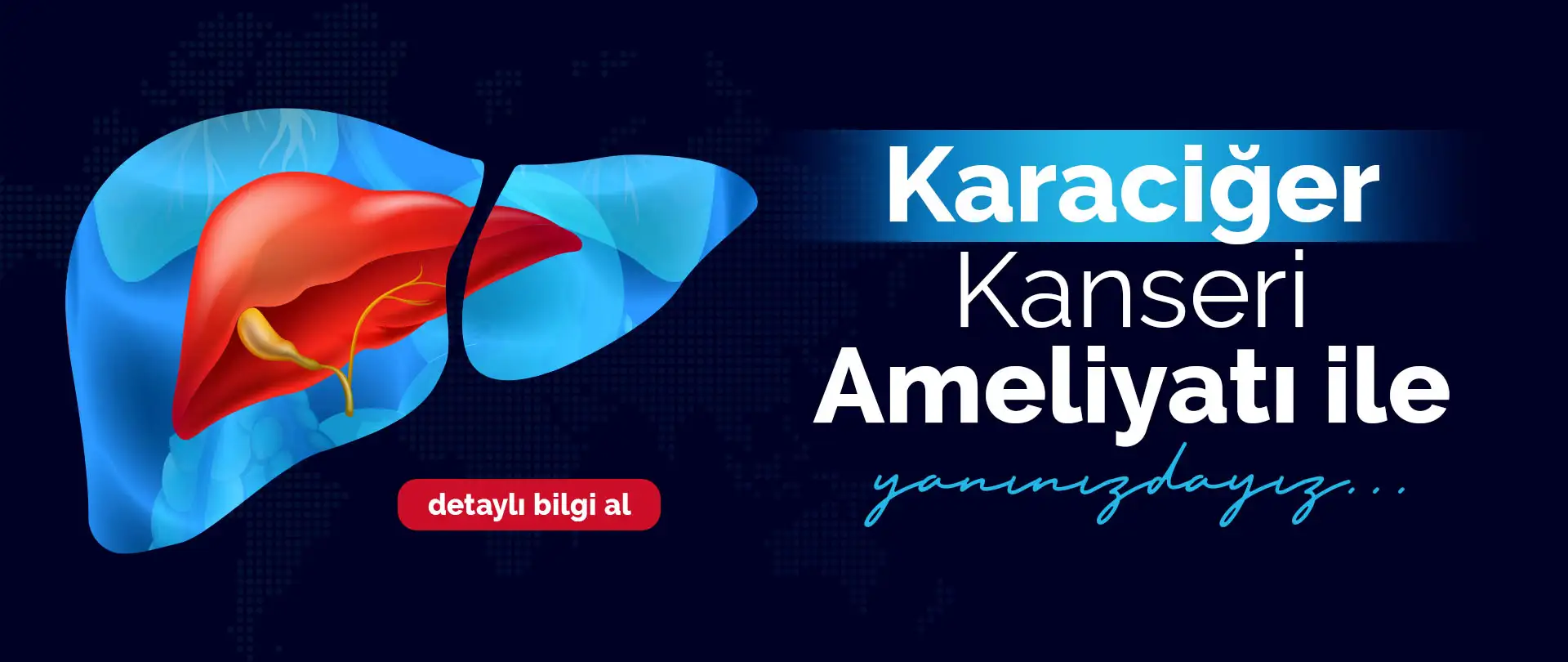 Karaciğer Kanseri | Doç. Dr. Kuntay Kaplan