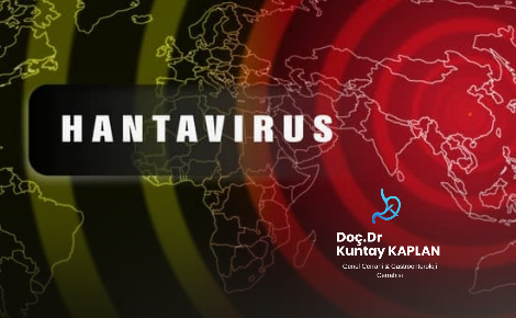 Hantavirüs Nedir? Belirtileri, Bulaşma Yolları ve Korunma Yöntemleri