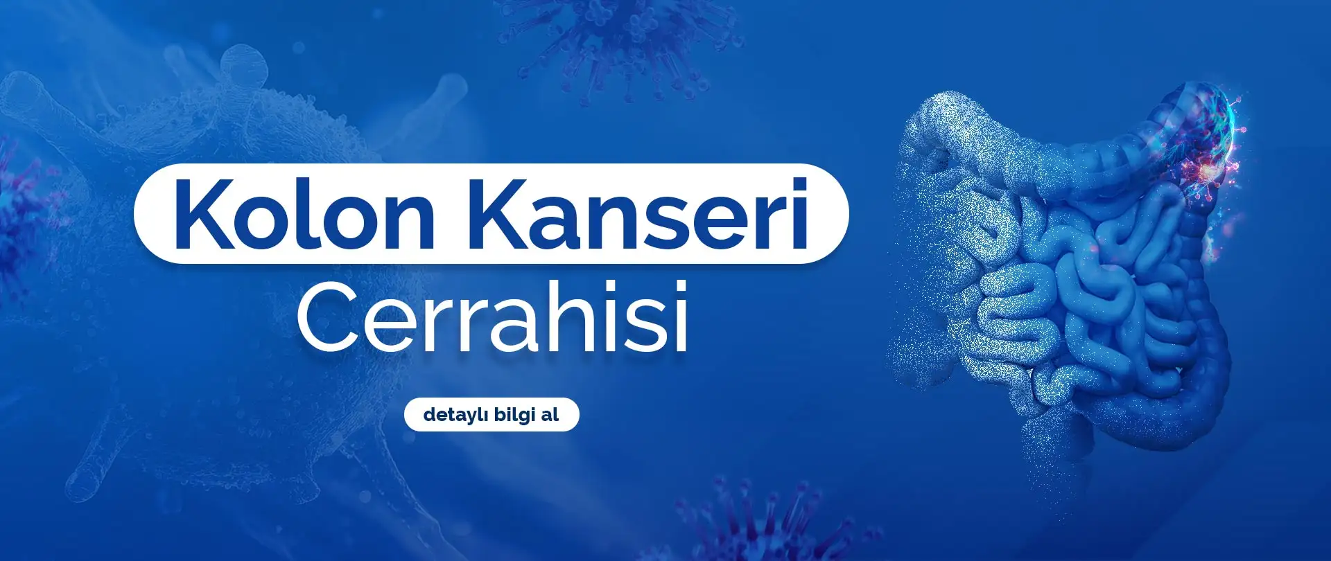 Kolon Kanseri Cerrahisi | Adana Doç. Dr. Kuntay Kaplan