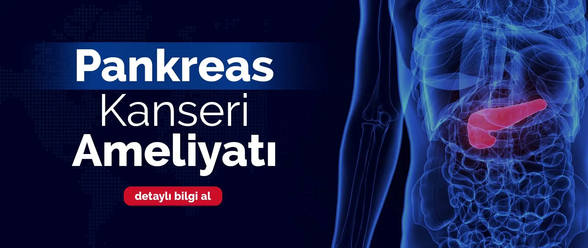 Pankreas Kanseri Ameliyatı | Adana Doç. Dr. Kuntay Kaplan